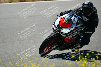 media/May-10-2024-2WTD (Fri) [[c88d7990af]]/Group B/Session 2-The Bowl/
